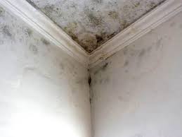 Mold Odor Removal Services in Hughesville, MD