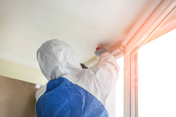 Why You Should Choose Our Mold Remediation Services in Hughesville, MD