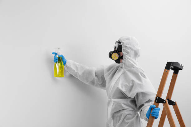 Mold Remediation for Rental Properties in Hughesville, MD